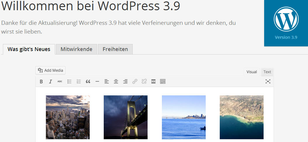 Wordpress 3.9 Update