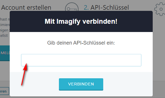 Insert Imagify App API Token