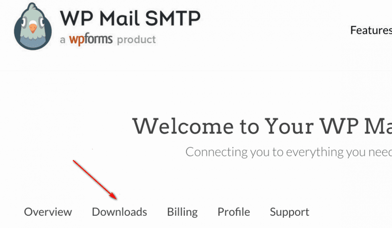 WP Mail SMTP Pro Download