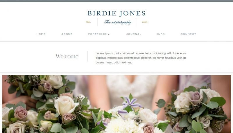 Birdie Jones WordPress Theme for Artists