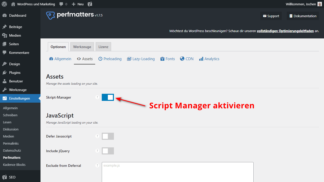 Activate Script Manager