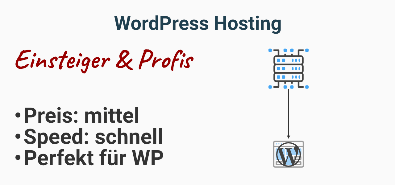 WordPress Hosting - Optimiertes Hosting für deinen Nischenblog