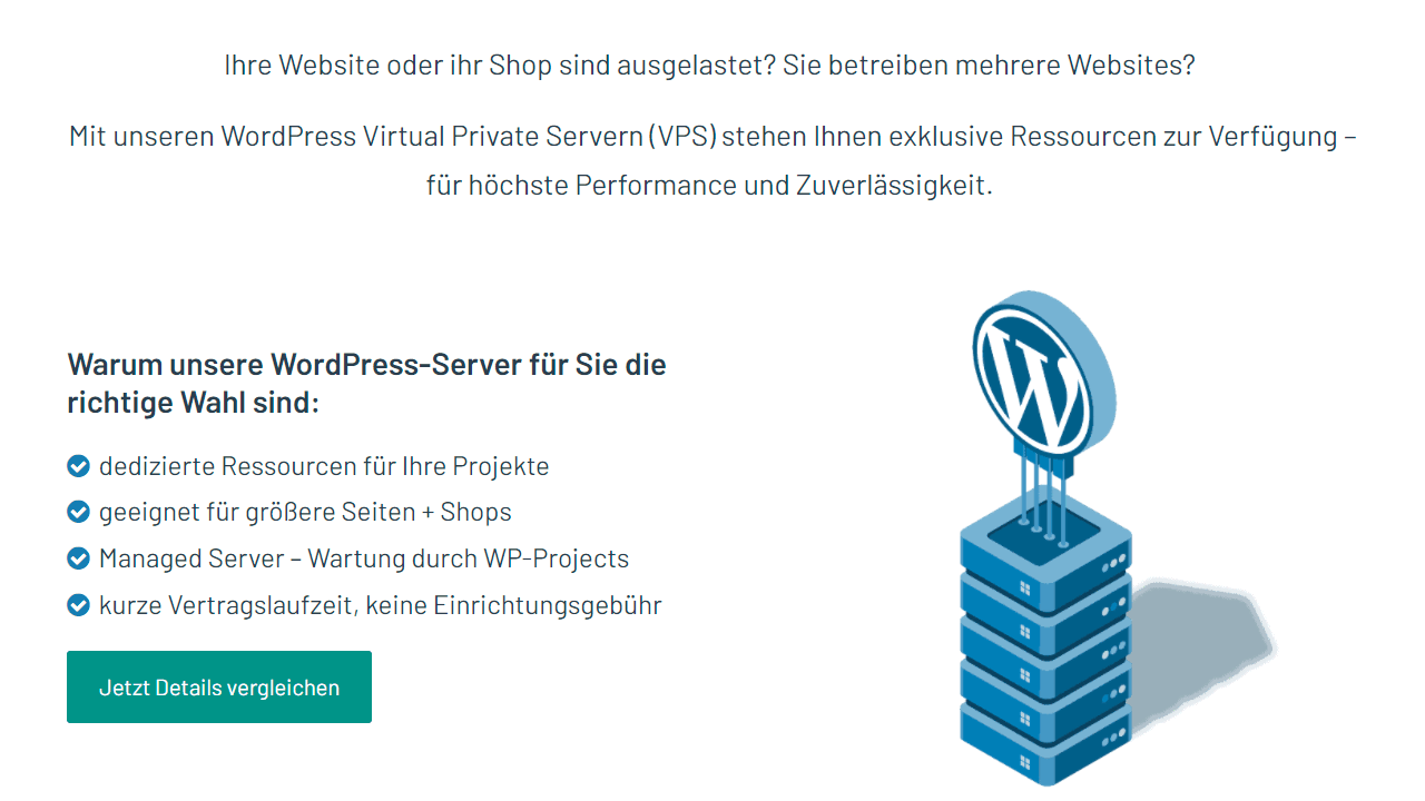 WP-Projects servers for blogs with high traffic or large WooCommerce stores.