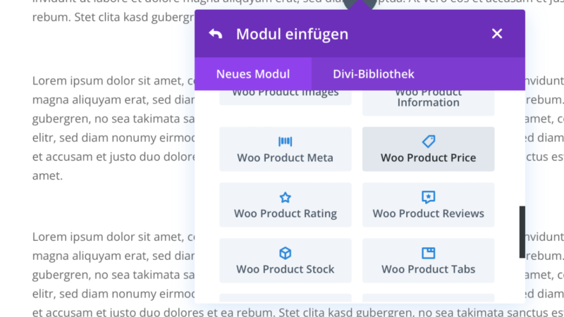 WooCommerce Divi Modul Page