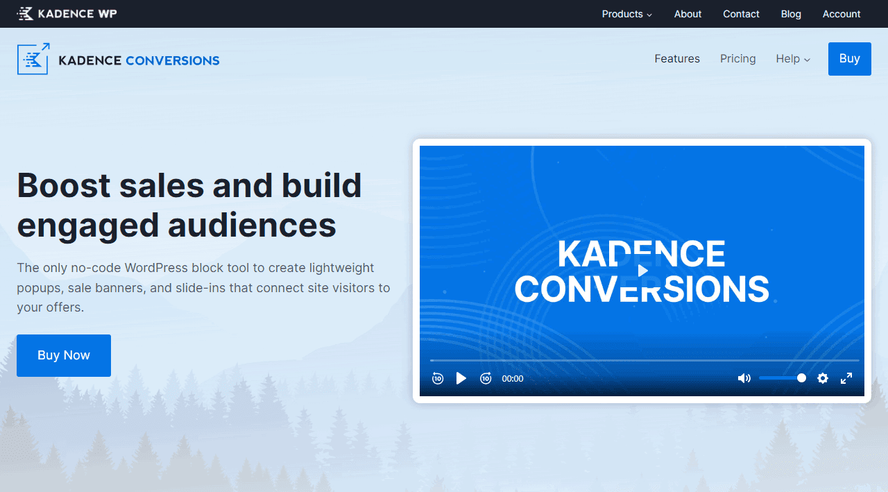 Kadence Conversions Homepage Screenshot